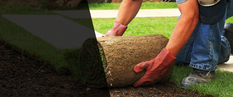 Niceville Landscapers